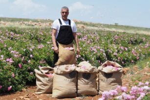 BERDAN MARDİNİ GÜL BAHÇELERİ CAZİBE MERKEZLERİ ARASINA GİRİYOR!